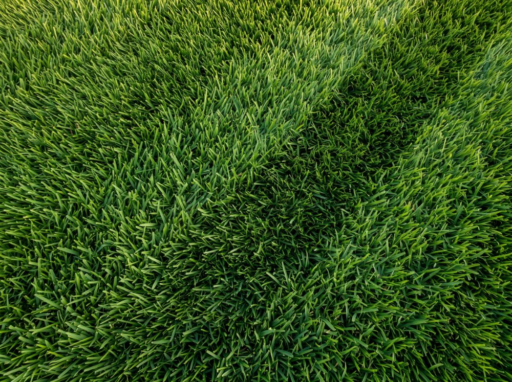 Lawn Care & Mowing job photo 1 by Lawn Care Bros